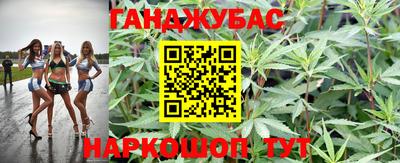 сатива Краснокаменск