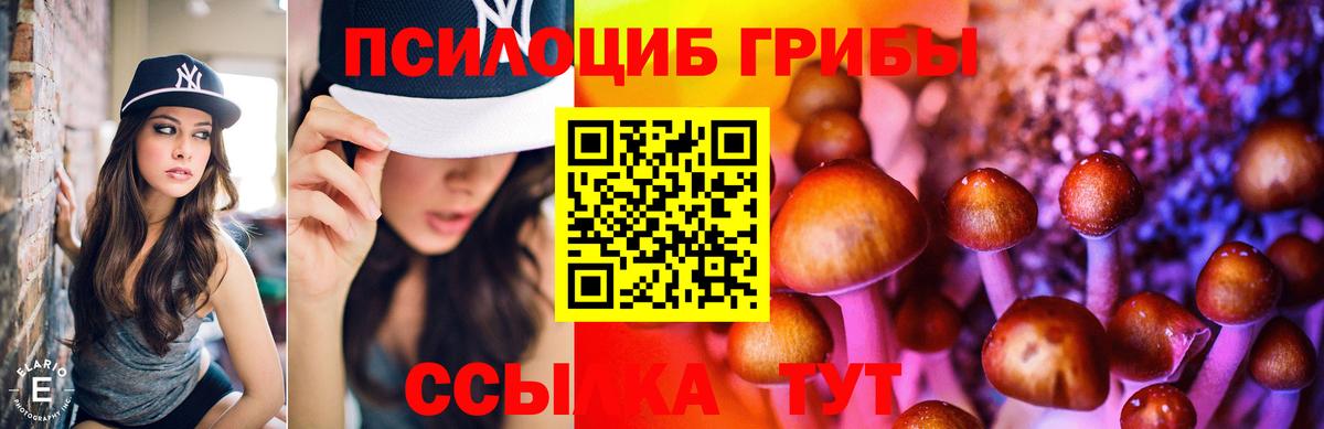 Галлюциногенные грибы прущие грибы Каспийск