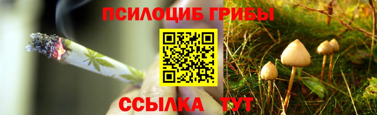 Псилоцибиновые грибы Psilocybine cubensis  Вход с VPN  Галлюциногенные грибы мицелий  Каспийск 